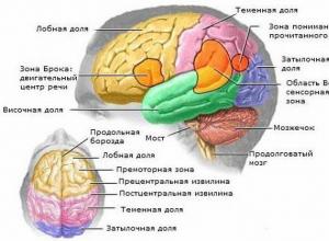 Симптомы и признаки опухоли головного мозга