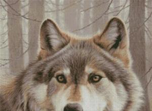 Что символизирует изображение волков на картине 