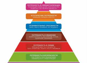 Пирамида потребностей Маслоу: теория, примеры, уровни, физиологические потребности