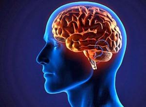Причины, признаки, диагностика и лечение мозжечковых нарушений